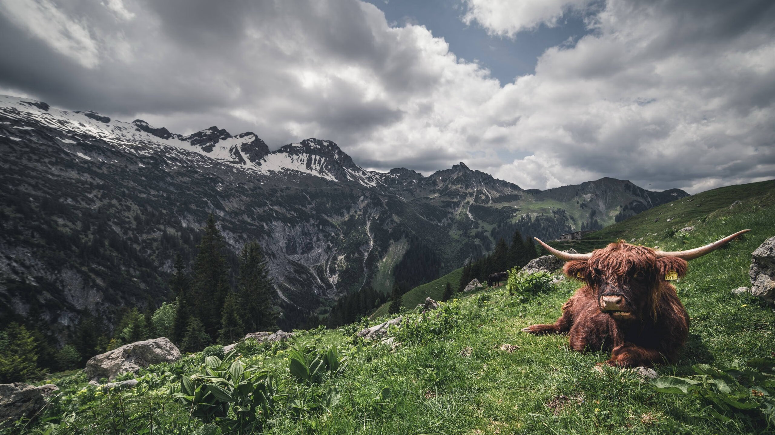 《王者荣耀季中冠军赛,LPL代表队展现霸气》,kpl个赛季冠军