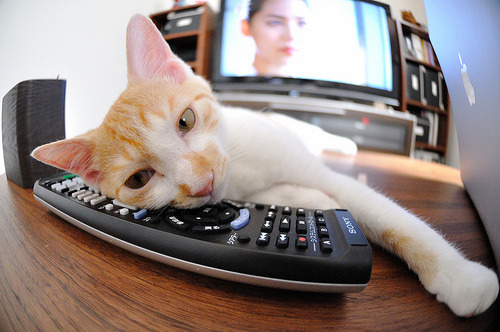 【裁判新装备】传感器与高清摄像,确保每一球都公正!,比赛传感器