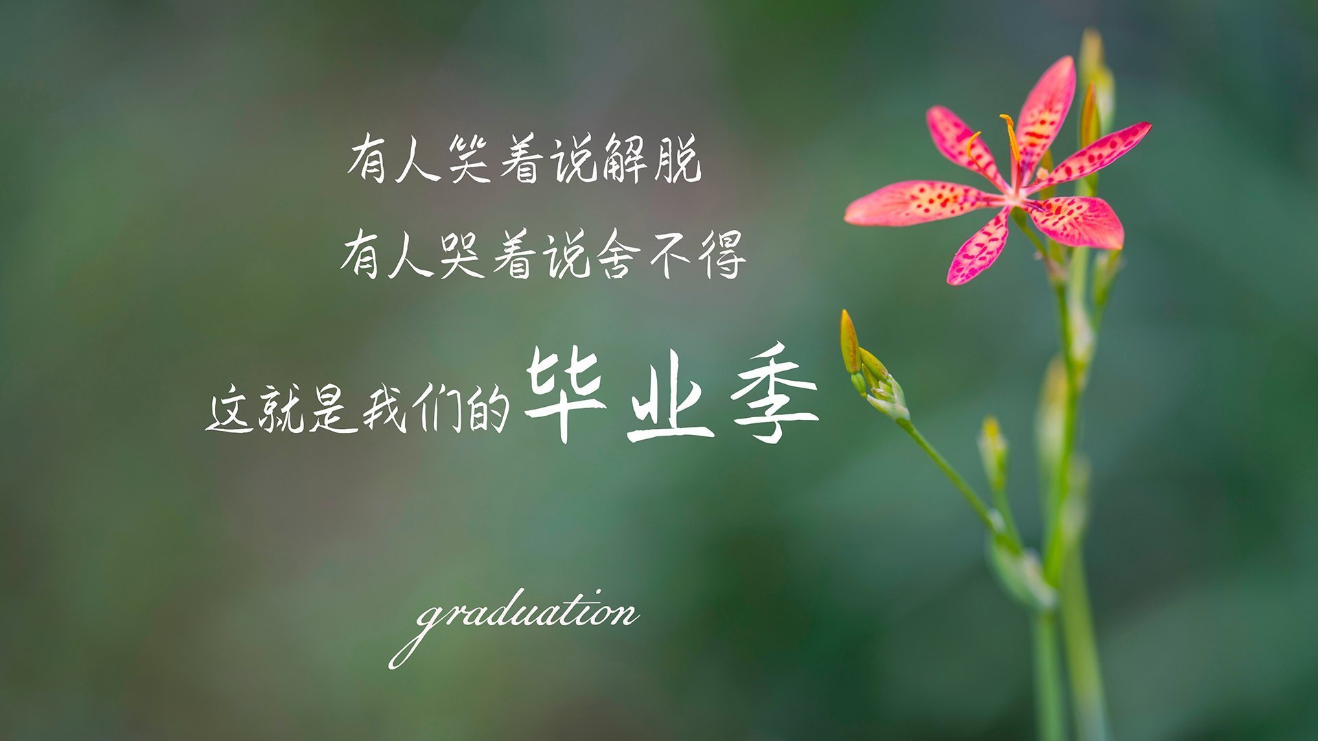 全联盟数据:最强得分、助攻、篮板王大盘点,nba篮板榜助攻排名