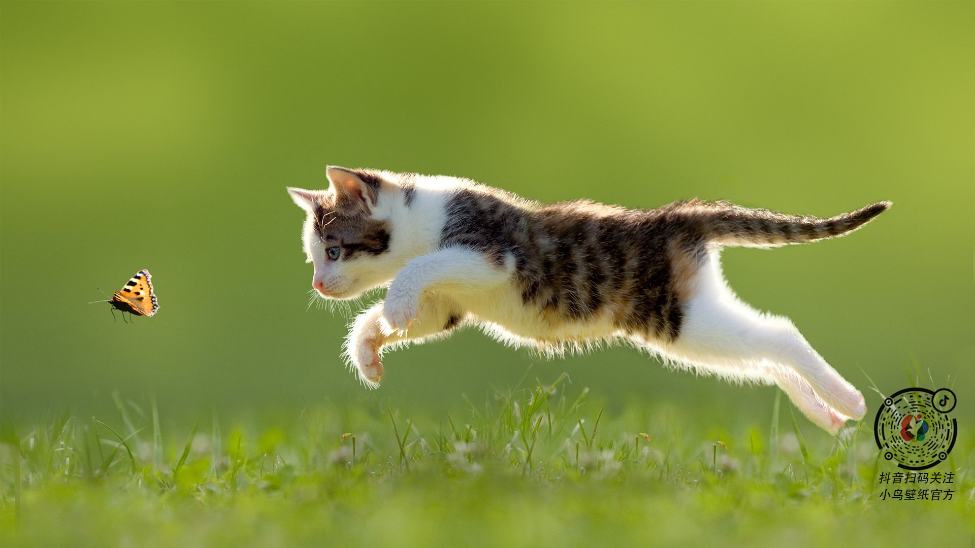 爱游戏-意大利女子花剑队获得团体银牌，意大利击剑女皇