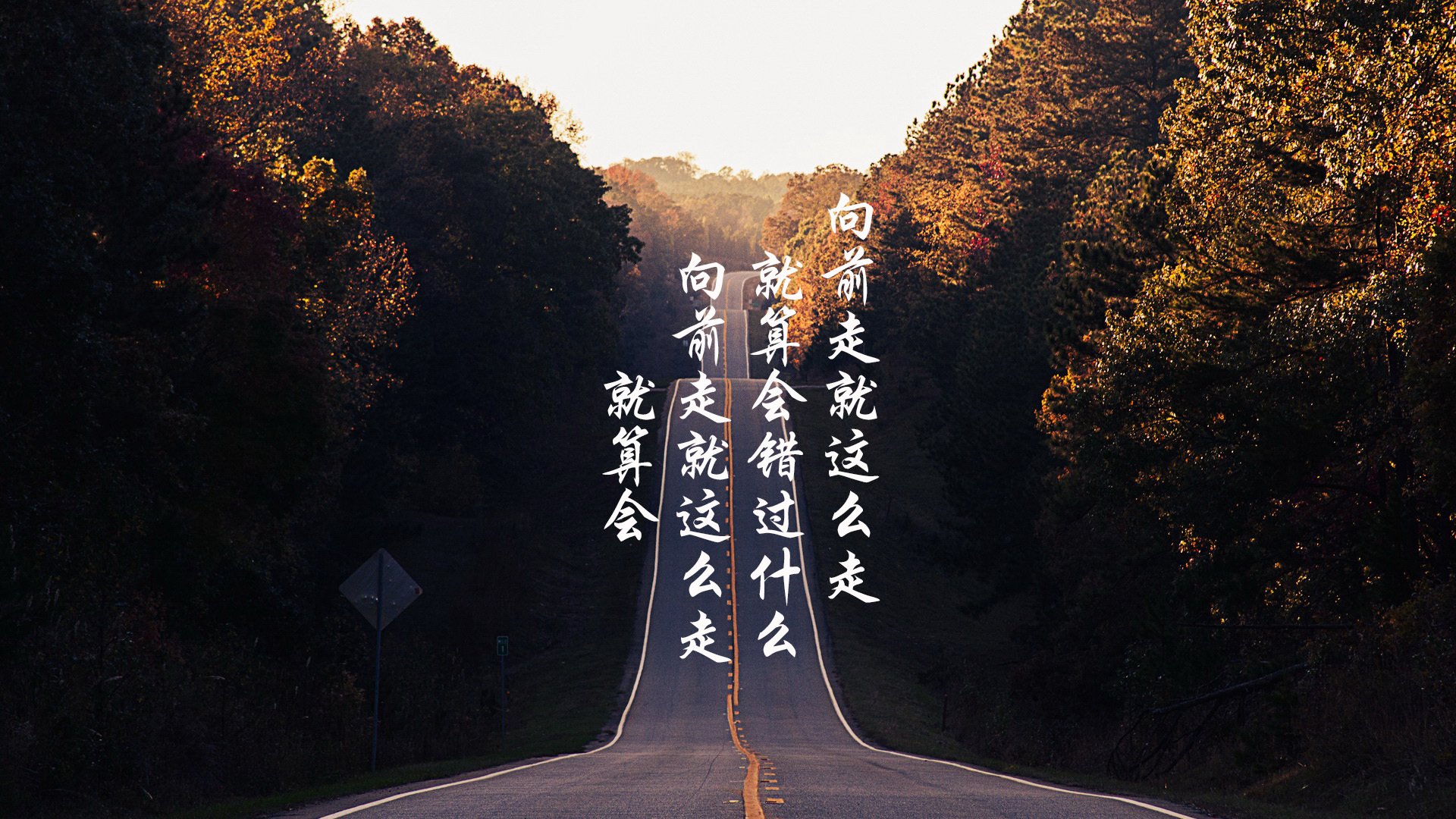 上海申花为夺冠展现出色表现,努力缩小差距,上海申花的比赛