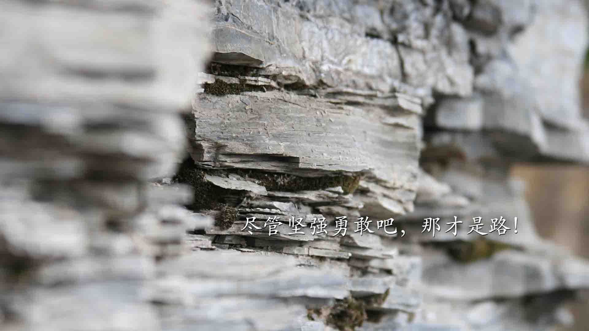 兰斯再次爆冷，击败排名第三的雷恩，兰斯原名