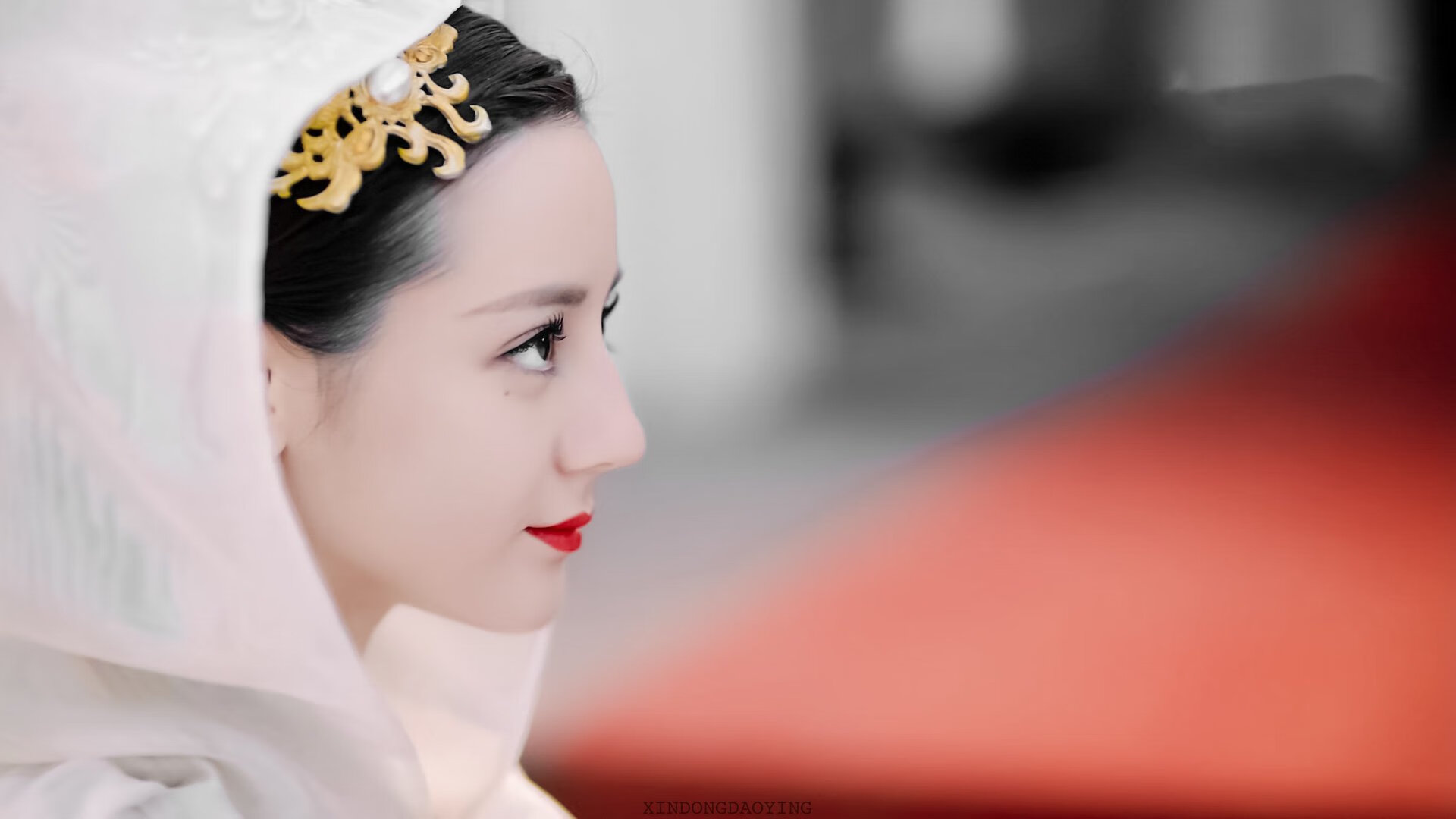 塞内加尔马术协会与国际组织合作,推广“Lamb”至全球。