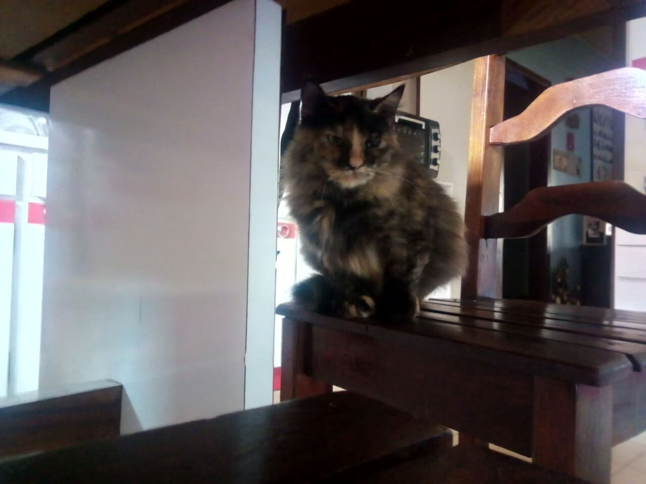 拜仁慕尼黑一雪前耻,强势逆转迎来复仇,拜仁慕尼黑2022