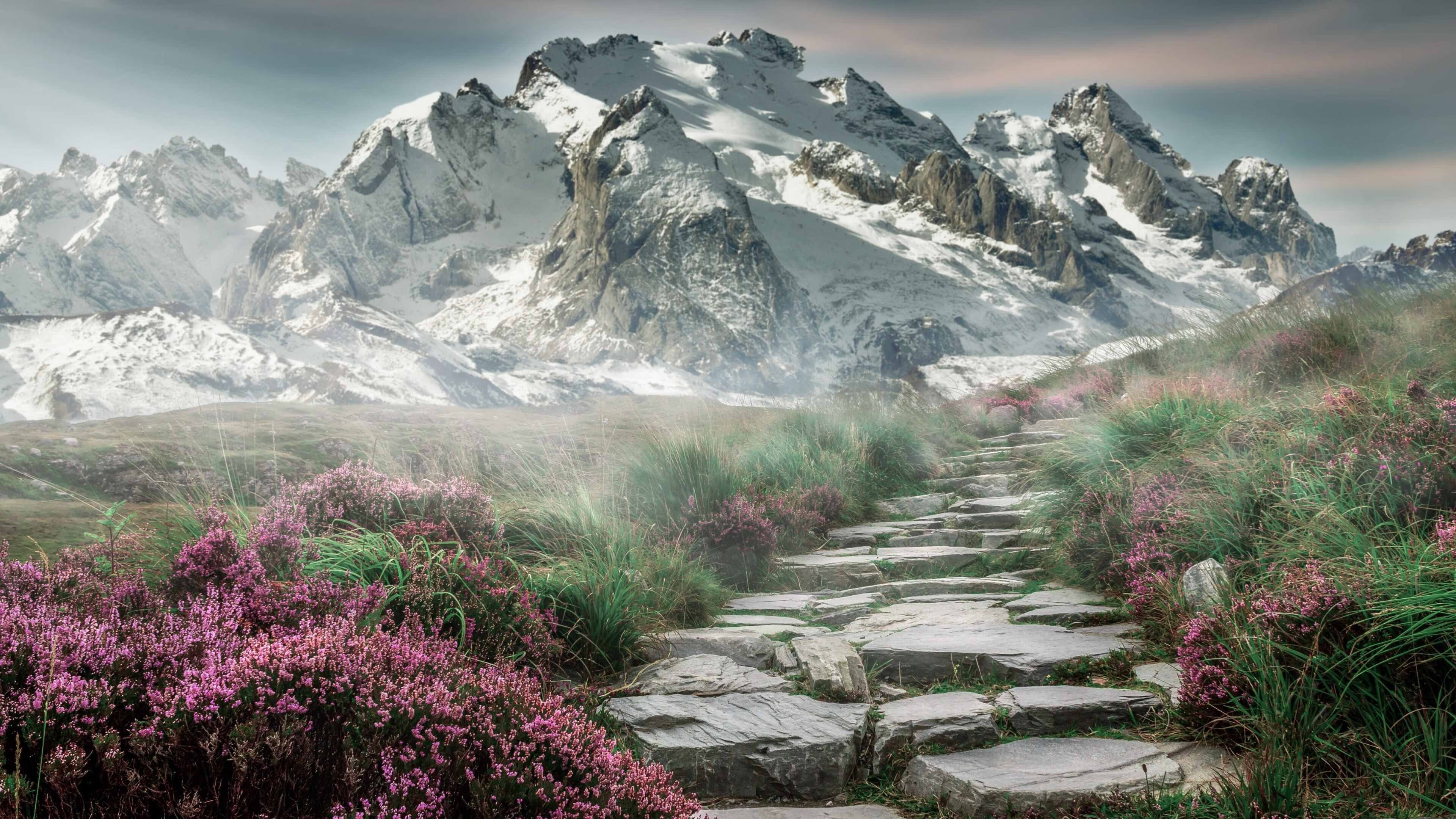 爱游戏体育APP下载-昂热防线表现出色，客场零封对手，昂热是好人吗