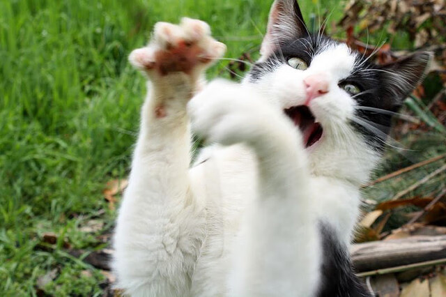 爱游戏app-曼城攻击火力全开，轻松击垮对手，曼城进攻战术