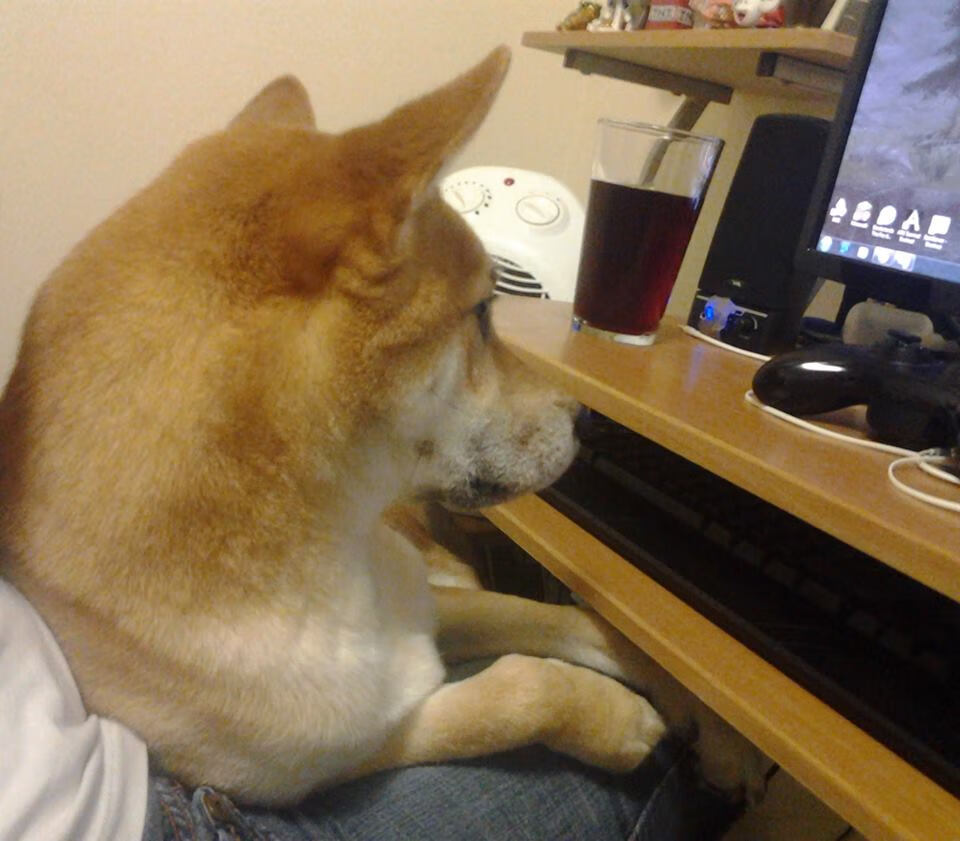 江门市城市规划支队后防漏洞频现,陷入连败,江门市城乡规划