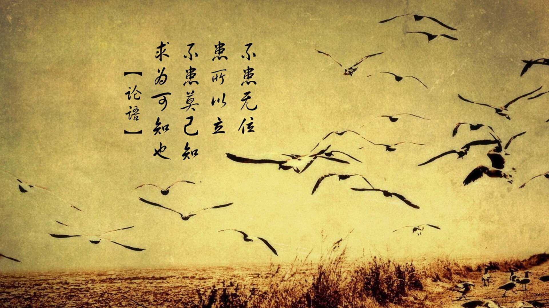 爱游戏体育app-米切尔再度亮相篮球舞台，台风队蝉联总冠军，米切尔ncaa