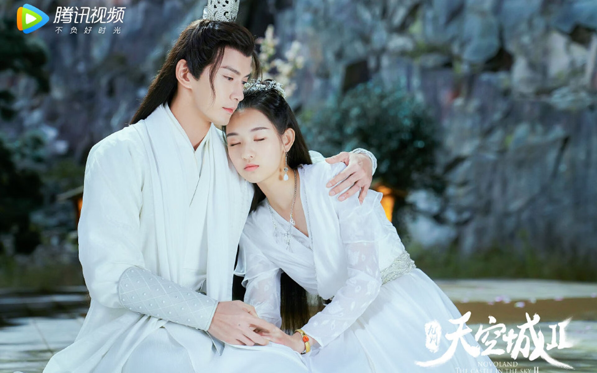 荷兰马术协会建立马匹基因数据库,促进马匹选育与训练。,荷兰马后