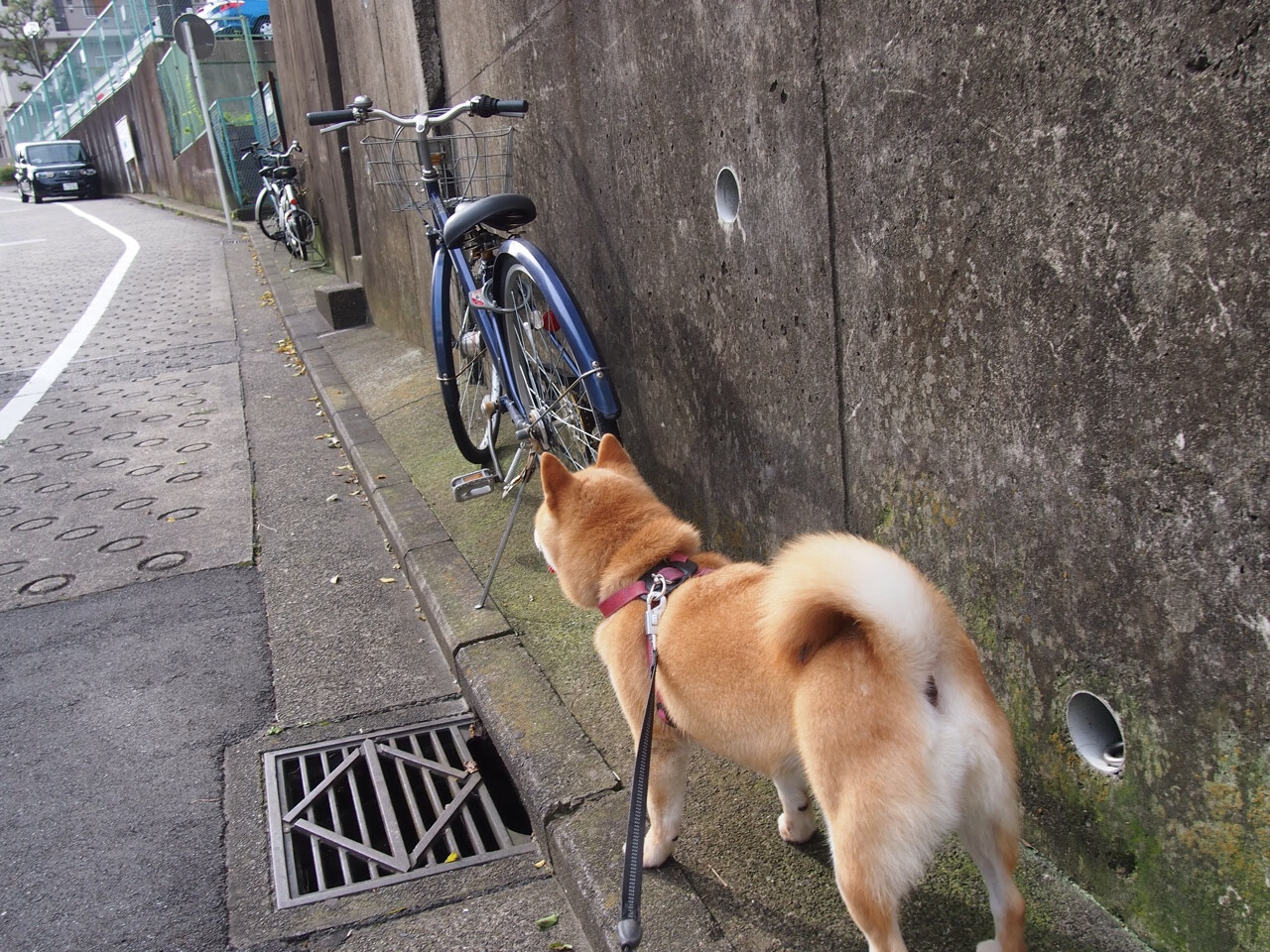 爱游戏官方网站-阿根廷3-1逆转巴西，晋级美洲杯四强，美洲杯_阿根廷1_0胜巴拉圭提前晋级八强