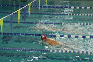 爱游戏体育APP下载-全国公开水域游泳赛长江赛段人气爆棚