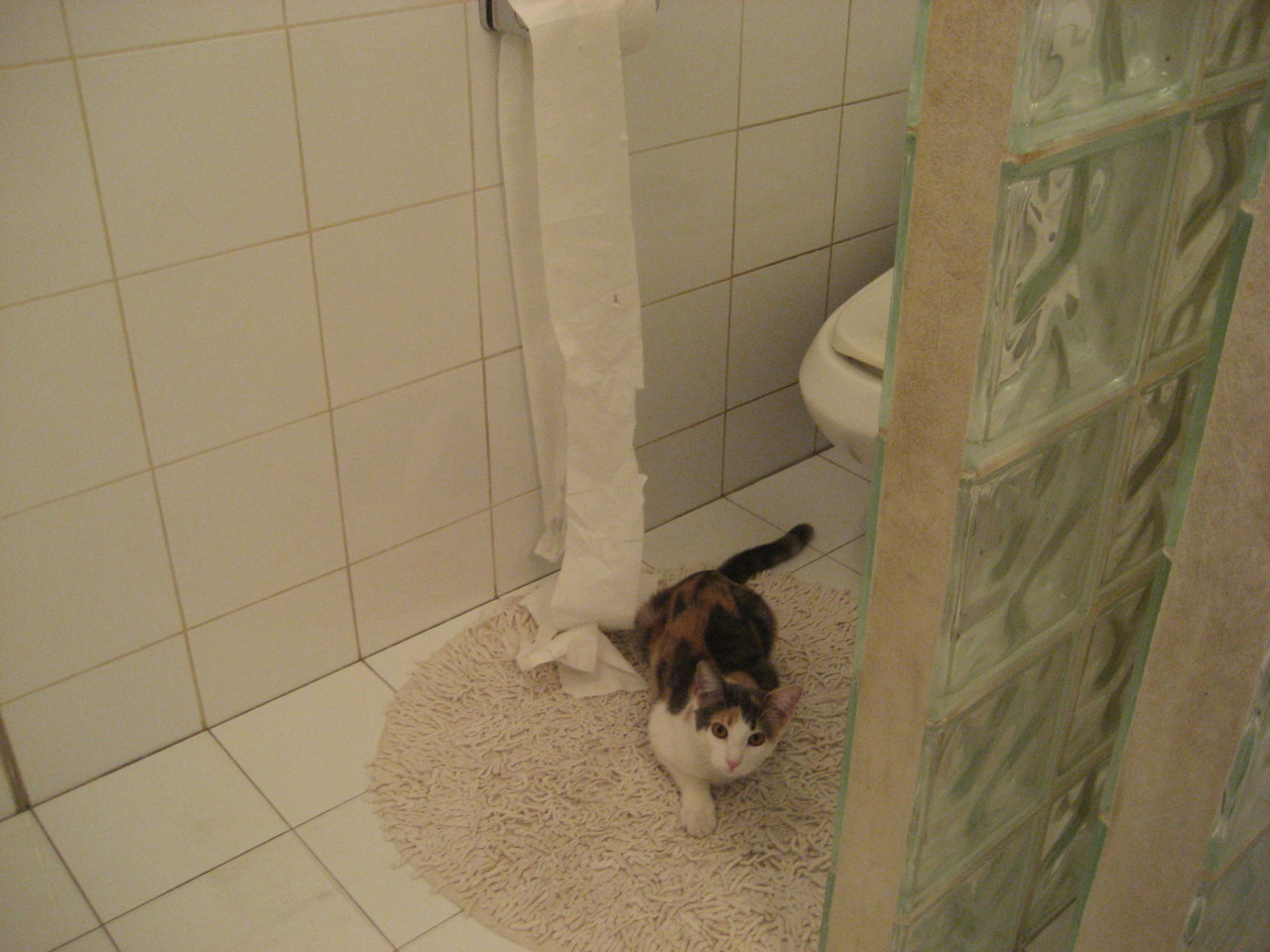 AYX SPORTS-Chinese Taipei战术解析：如何应对世界强队的挑战