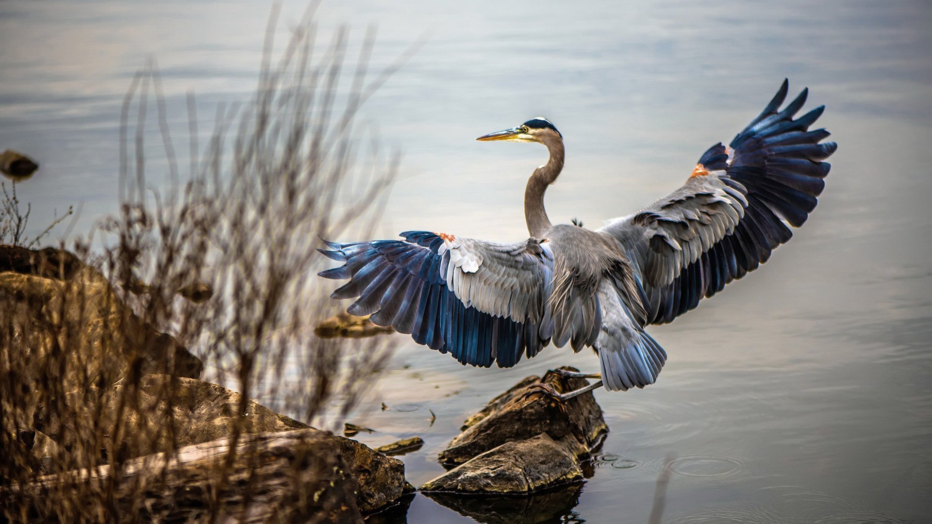 爱游戏体育-塞维利亚推进节奏快速打出高效配合，塞维利亚什么水平