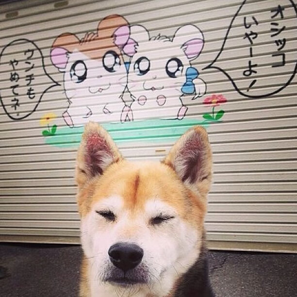 “帕布罗·马特拉:从球场到更高舞台,阿根廷美洲狮队的未来核心”