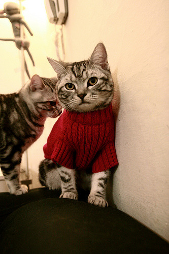 爱游戏体育app-中国足球联赛裁判技术辅助系统全面上线，中国足协裁判规则