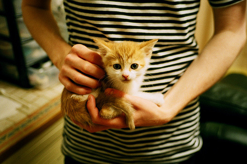 爱游戏娱乐平台-全国篮球青训体系试点城市名单公布引发各地响应热潮，篮球全国青年联赛名单