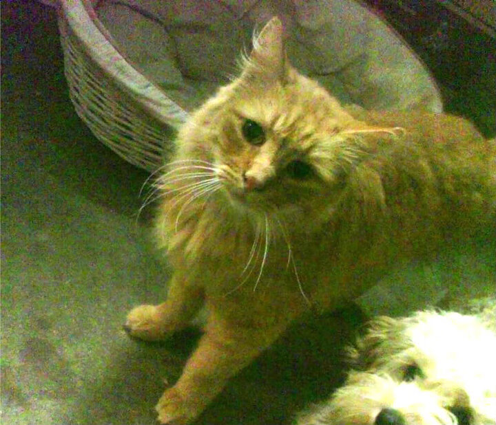 爱游戏中国官方登录入口网站-欧洲杯攻防大战：布局、变化、突破的视觉盛宴，欧洲杯2021攻略