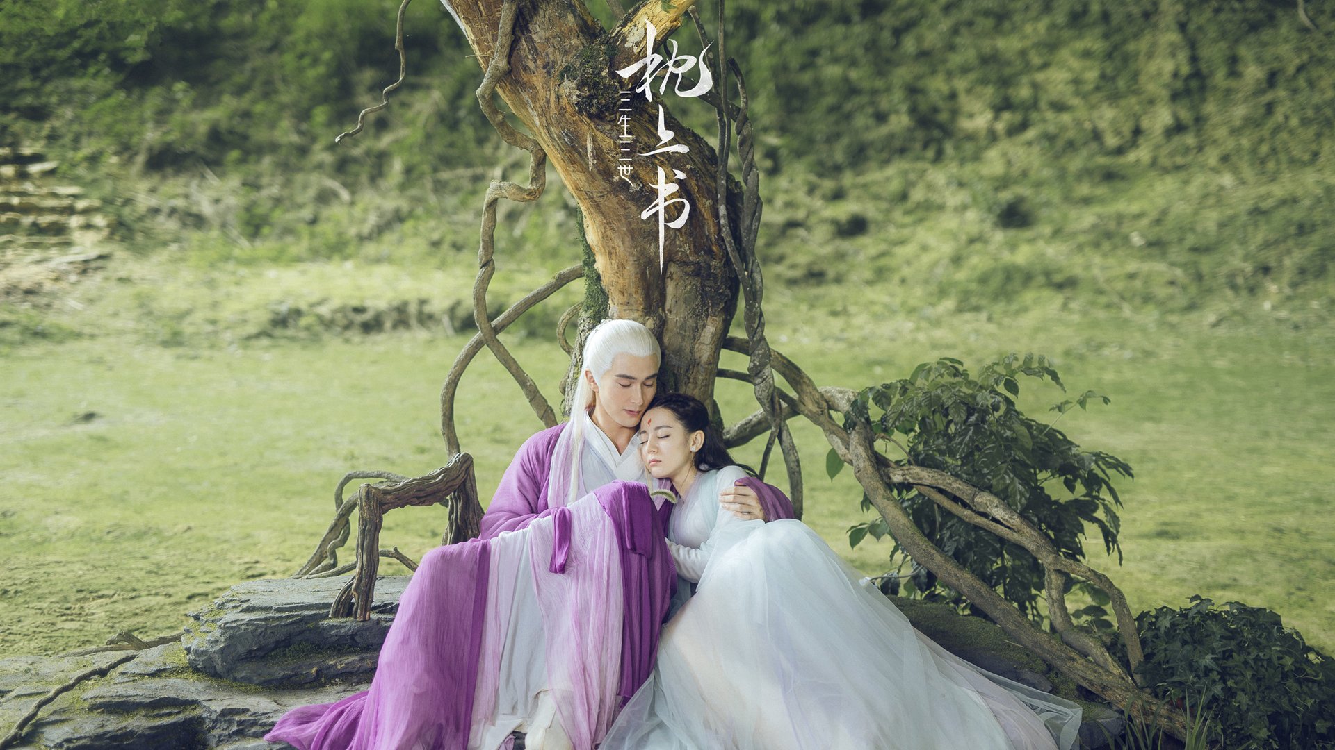 科尔博蛙泳实力引领赛场风潮,科尔博特