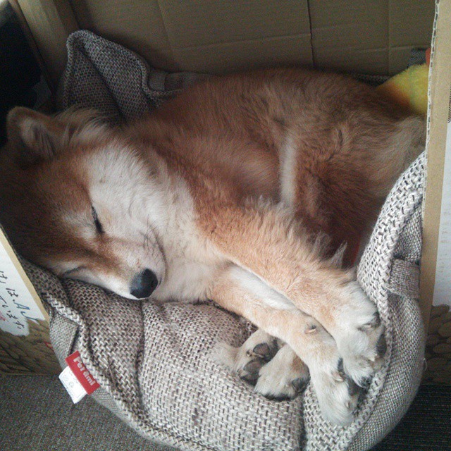 爱游戏娱乐-西甲俱乐部的环保绿色行动，西甲绿色队服